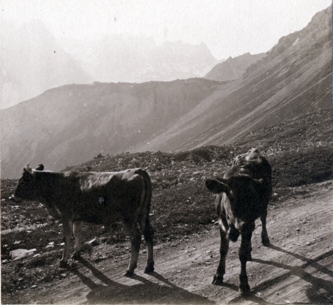 En Maurienne, juillet 1925