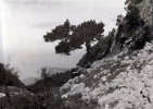 La Grande Sure, 1er juin 1925: Henri