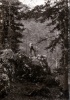 La Grande Sure, 1er juin 1925: Henri
