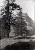 La Grande Sure, 1er juin 1925: Henri