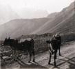 En Maurienne, juillet 1925