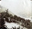 ?, 1914: Genevive