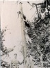 Rochincourt, juin 1915: Christ
