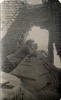 Albert, 1915: Andr
