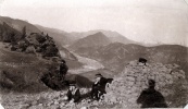 Digne, janvier 1916: Henri, Franois, Jacques