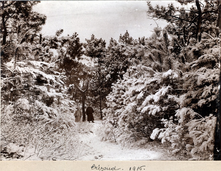 Trpied, fvrier 1916: Louis, Andr