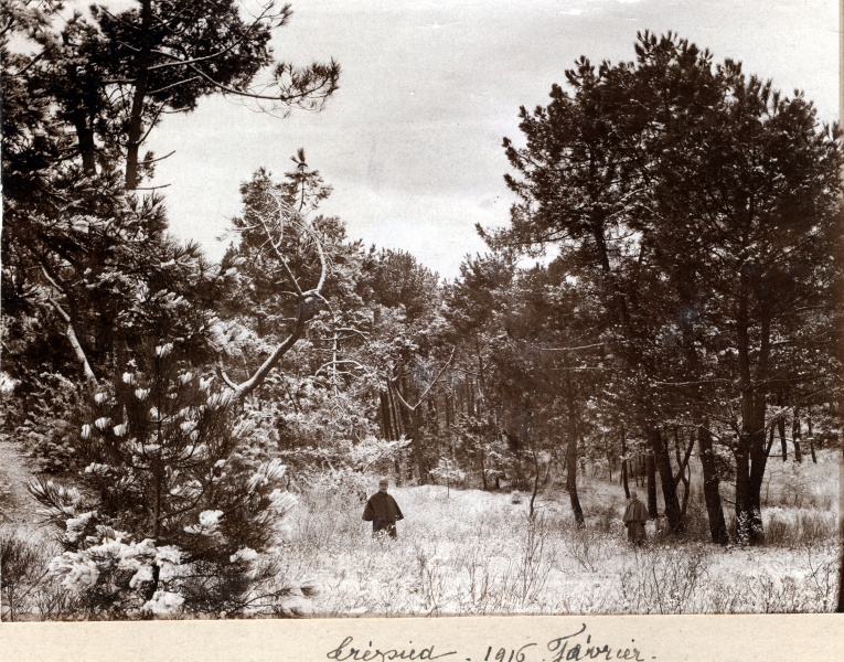 Trpied, fvrier 1916: Andr, Louis