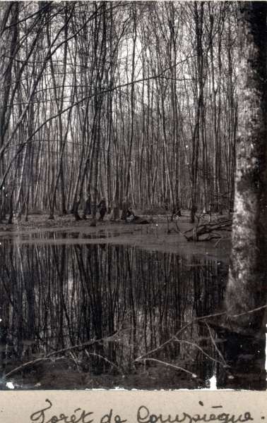 Compigne, 1916: la fort
