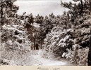 Trpied, fvrier 1916: Louis, Andr