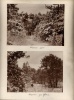 Page-26