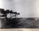 taples, fvrier 1916